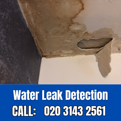 Expert Water Leak Detection Services in Pimlico | Pimlico Leak Detection